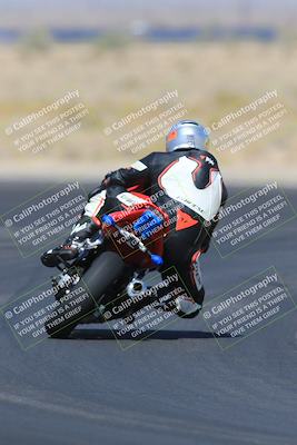 media/May-13-2023-SoCal Trackdays (Sat) [[8a473a8fd1]]/Turn 11 Backside (945am)/